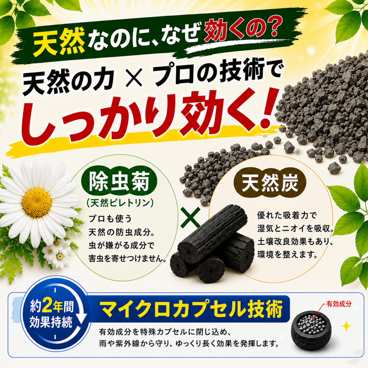 【安心の天然素材100％】 虫除け炭