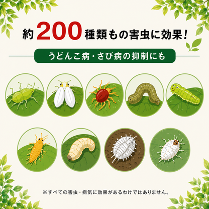 【有機栽培農家ご用達】 ニームの肥料　※計量スプーン付き