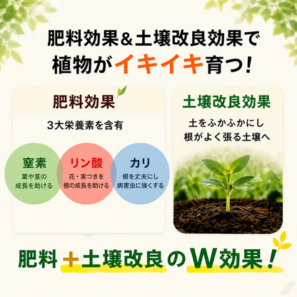 【有機栽培農家ご用達】 ニームの肥料　※計量スプーン付き